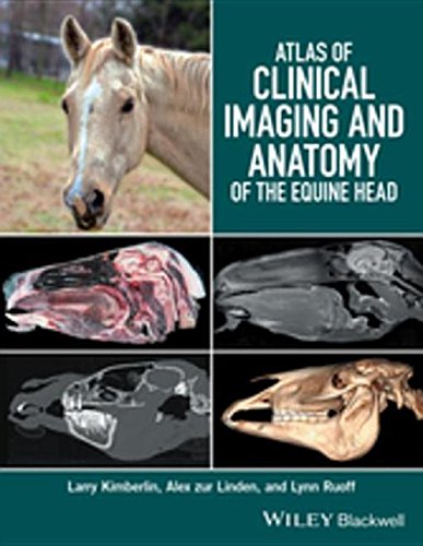 Buy Atlas of Clinical Imaging and Anatomy of the Equine Head — BookShops.in