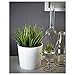 Ikea Artificial Potted Plant, Wheat Grass, 7.75 Inch