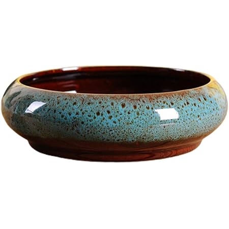 Kit De Remplacement Écran LCD + Vitre Tactile Pour Huawei Honor 8X (6.5") - Bleu, Avec Outils & Colle