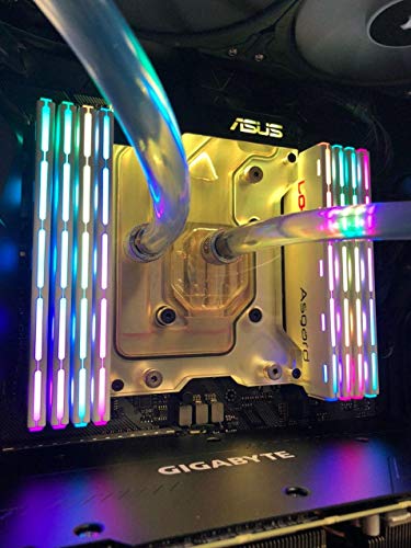 Asgard Loki Gaming 32GB RGB (2x16GBKit) DDR4 3200Mhz (PC4-25600