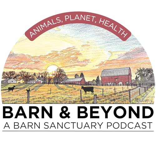 The History of Barn Sanctuary / Tom's Founding Story Featuring Tom McKernan