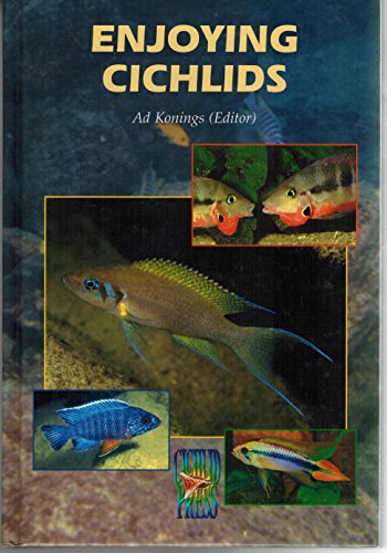 Enjoying Cichlids