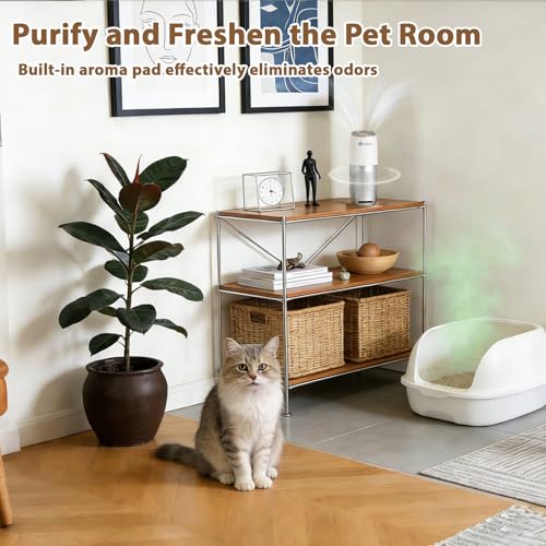 Portable Air Purifier for Travel