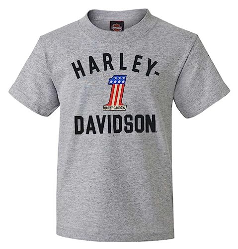 Harley-Davidson Little Boys' #1 Logo Short Sleeve Toddler Tee - Athletic Gray