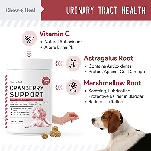 Digestive Enzymes And Probiotics And Cranberry Uti Support For Dogs - Supports Healthy Digestive Tract, Helps Nutrient Absorption - Healthy Urinary Tract And Bladder Function - 120 Soft Chews Each #TOP2