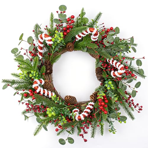 MG MagicGarden Christmas Wreaths for Front Door 20 Inches Artificial Christmas Wreath with Red Holly