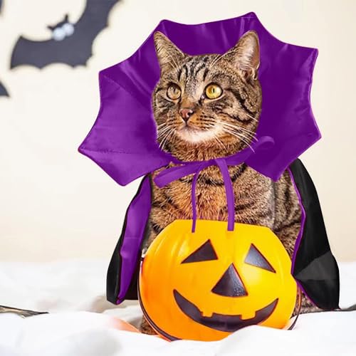 Disfraz de Capa Vampiro para Perros y Gatos Halloween miniatura 5