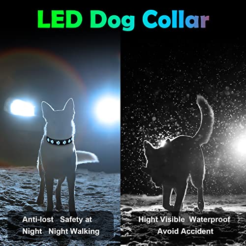 AUAUY Hundehalsband Leuchtend, LED Leuchthalsband Hunde Halsband USB Wiederaufladbar Wasserdichtes für Kleine Mittlere Große Haustier Einstellbar Sicherheit Kragen mit 6 Farben (Colorful-S)