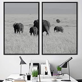 signwin 2 Piece Framed Canvas Wall Art Animals...