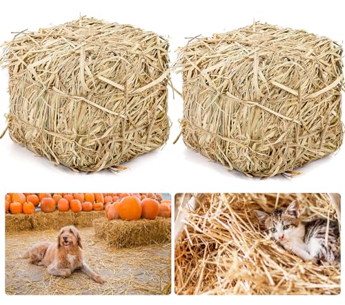 Lengba Natural Straw Bale for Cat Shelter – 8'x8'x8'Soft & Dry Straw Bedding for Cats, Feral Cats & Small Animals | Decorative Hay Bale for Outdoor Use, Farm Décor, Garden Straw & Pet Bedding (2)