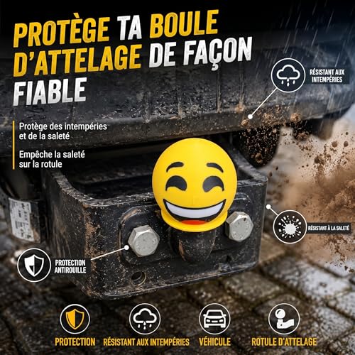 Couvercle d'attelage Smiley diable une idée cadeau originale pour passionné auto - 6
