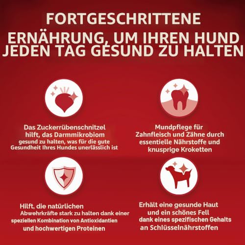 Purina ONE Mini < 10 kg Futter für kleine Hunde mit Ochsen und Reis, 3 kg Beutel – Ansicht 3