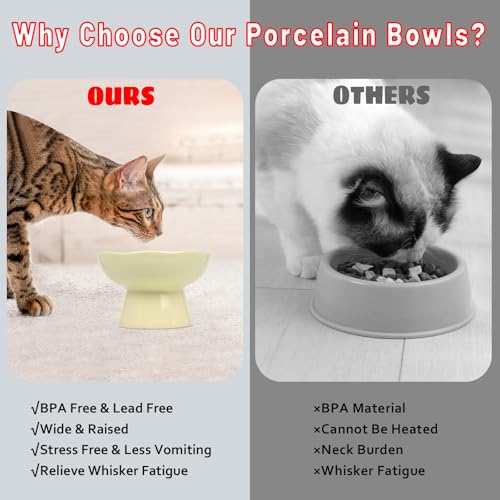 Image of 6.1 inch Wide 1.57 inch Deep Elevated Cat Bowls, Ceramic Water Bowls for Flat Faced Cats,Cat Feeder,Stress Free,Protect Cat's Spine,Cream