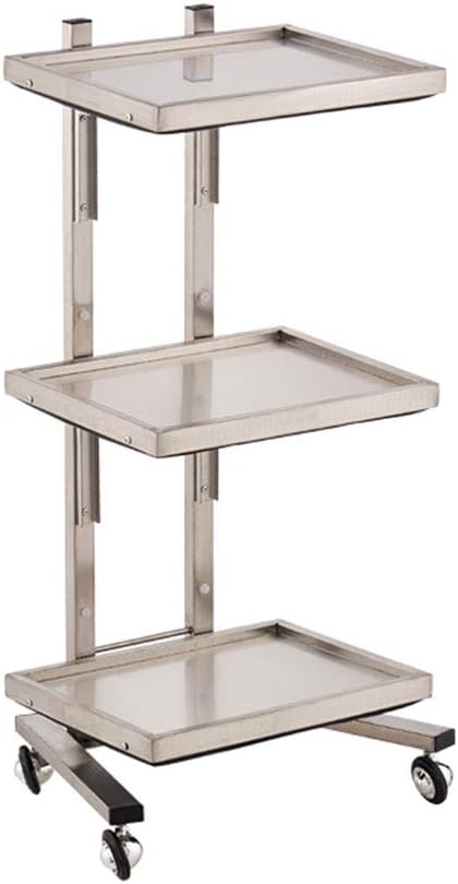Medical Trolley Cart Foldable Hairdressing Trolley Assembled Beauty Trolley Stainless Steel 3-Layer Special Tool Cart Easy to Move Surface Drawing Process (Silver)