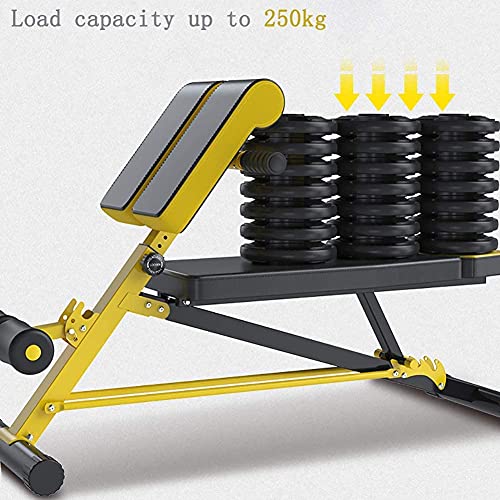 Weight Bench Adjustable Strength Exercise Bench Adjustable AB Roman Seat Multifunction Dumbbell Bench Adjustable Gear Design Meet The Needs Of Different People Waist Sit - Image 5