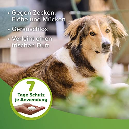 Beaphar Zecken- und Flohschutz Schaum 150ml, Hu./Ka.