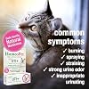 HomeoPet Feline UTI+, Safe and Natural Urinary Tract Supplement for Cats, Feline Urinary Tract Support, 15 Milliliters