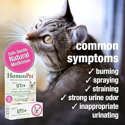 HomeoPet Feline UTI+, Safe and Natural Urinary Tract Supplement for Cats, Feline Urinary Tract Support, 15 Milliliters