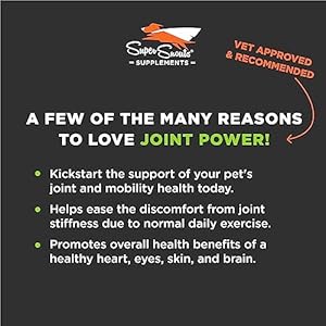 Super Snouts Joint Power 100% Green Lipped Mussels for Dogs & Cats – Dog Joint Supplement Powder Supports Joints, Tendons, Ligaments (2.64 oz)