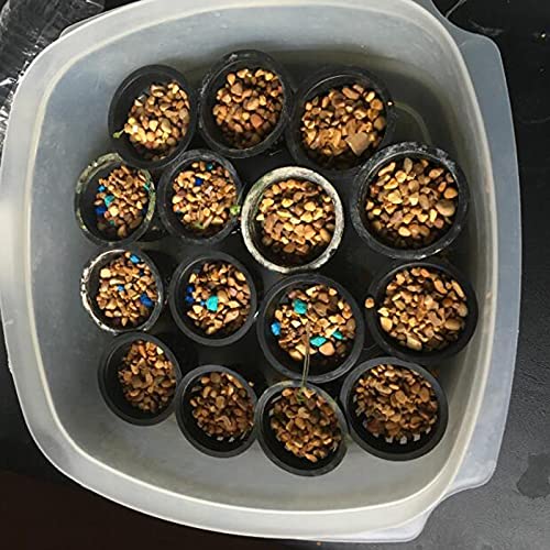 Hazoulen Small Garden Plastic Net Cups Pots Fits In 2 Inch Holes, Set Of 40 #TOP5