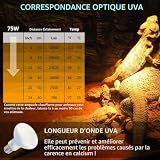 SCNNC ampoule chauffante 75 W E27 R80 UVA pour terrarium photo 4