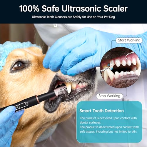 Image of Sonic Tooth Cleaner for Dogs,Dog Dental Tools to Remove Plaque and Tartar,Dog Teeth Cleaning Kit 5 Clean Options Available with LED Light - Black
