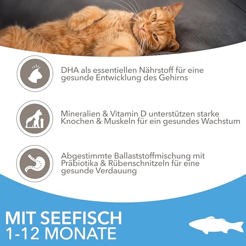 IAMS Junior Katzenfutter trocken mit Fisch - Trockenfutter für Kitten im Alter von 1-12 Monaten, 3 kg