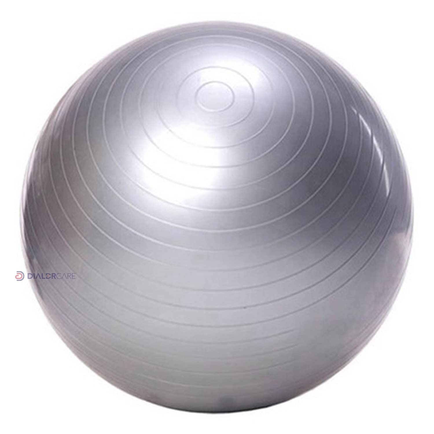 DIALDRCARE Health Anti-Burst Yoga Ball for Balance, Stability, Pregnancy, Yoga and Physical Therapy (Gray)(60cm-1 piece) (B09WN4R44Q) Amazon Price History, Amazon Price Tracker