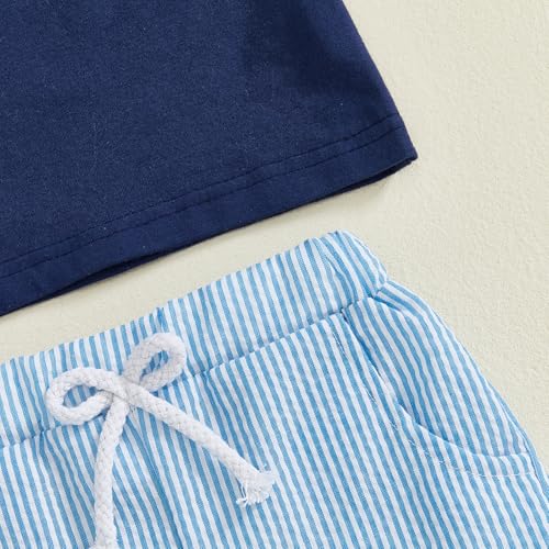 Image of Toddler Baby Boy Easter Rabbit Outfit Short Sleeve Bunny Carrot Smocked T-shirt Elastic Waist Shorts Summer Clothes