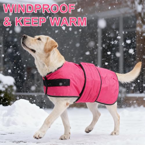 Image of BEAUTYZOO Dog Winter Coat for X-Large Dogs, Waterproof Canvas Jackets | Warm Fleece Great Dane Sweater, Reflective Cold Weather Coats, Windproof Blanket Clothes for Female Male Doggie, Rose XL
