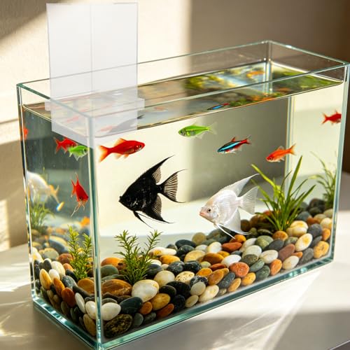 Réservoir Suspendu en Acrylique GANAZONO : niveau d'eau automatique constant - 7