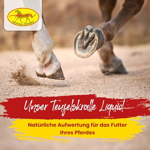 Scheidler horse-direkt Teufelskralle Liquid für Pferde 2500ml – Flüssiger Booster für Pferdefutter – 100% Natürliches Ergänzungsfutter – Alternativ zu Teufelskralle Pulver/Pellets -