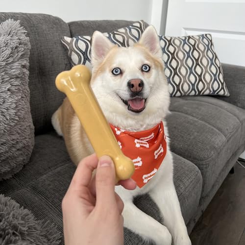 Nylabone Extreme, Kau- und Zahnspielzeug für Hunde, Hundeknochen, für aggressiv / Starke kauende, Erdnussbutter -Geschmack, für mittelgroße hunde bis 16 kg