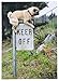 Pug Keep Off Sign - Avanti Funny Dog Birthday Card