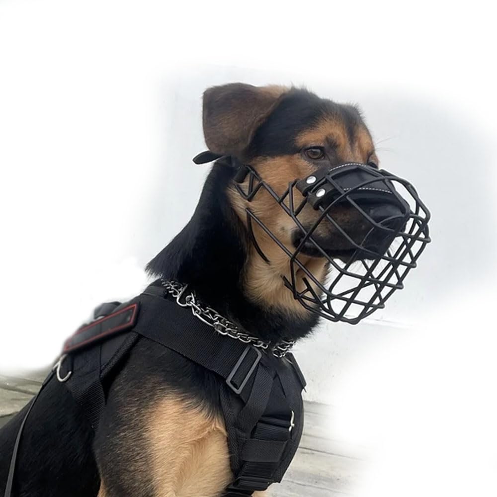 Muselière en métal pour chien anti morsure panier réglable schnauzer