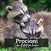 Procioni: Libro illustrato per bambini (Italian Edition)