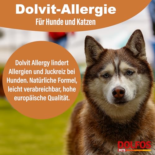 Dolvit Allergy 90 Tabletten, Allergie Tabletten für Hunde gegen Juckreiz & Dermatitis, Natürliches Ergänzungsfutter Hund zur Fellpflege, Hautgesundheit & Unterstützung bei Allergie Hund