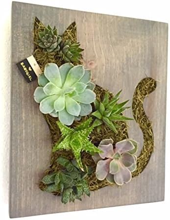 HOLIDAY GIFT: Kitty Cat Succulent + Cacti Vertical Garden || Living Wall || Wall Planter || Hanging Planter - Order by 12/9 to receive by X-MAS