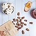 Honey Glazed Pecans 5 oz – Caramelized Pecans with Real Honey, Crunchy & Sweet Roasted Nuts Snack in Resealable Pouch – Gourmet Glazed Pecan Halves by La Nogalera