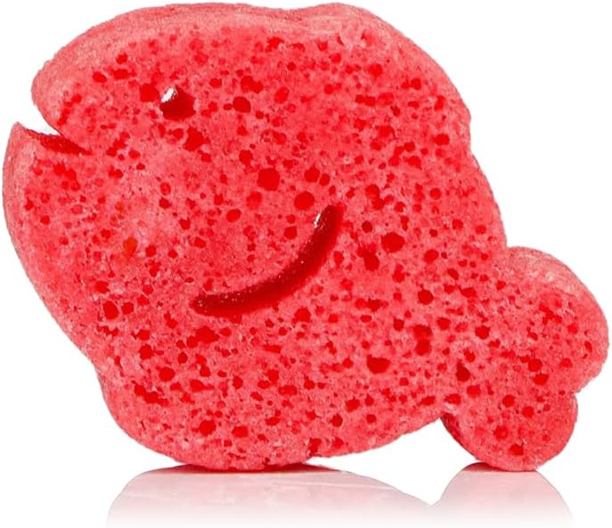 Sea Animals Spongellé