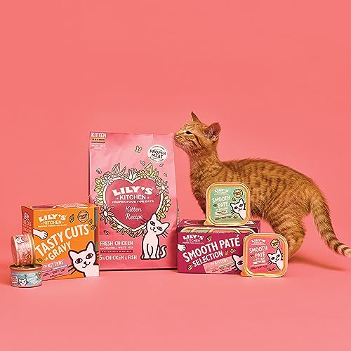 Lily’s Kitchen Vollwertnahrung Nass Katzenfutter für junge Katzen 19 Schalen (19 x 85g) Geflügel