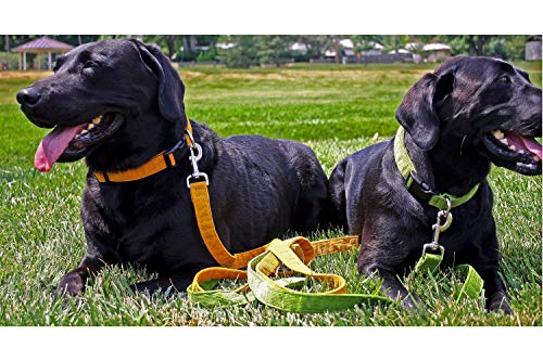 Hemp Corduroy Dog Collar - No Pattern (1/2" Extra Small, Black) #TOP6