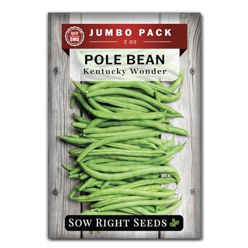 Sow Right Seeds - Bulk Kentucky Wonder Pole Bean Seeds for Planting - 2 Ounce, 170 Seeds - Non-GMO...