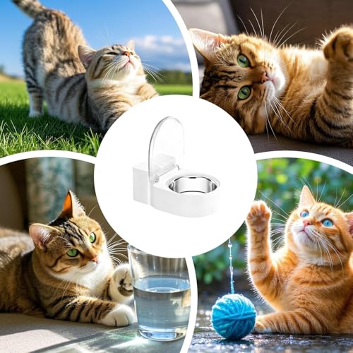 Toilet Shape Non Spill Dish for Pets antiderrames automático estilo inodoro 5