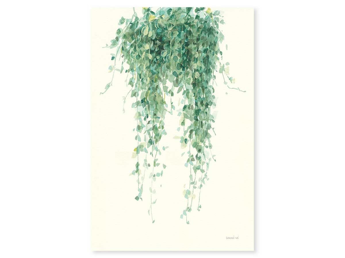 Póster de planta suculenta ilustrada, fabricado en Francia, 60 x 90 cm