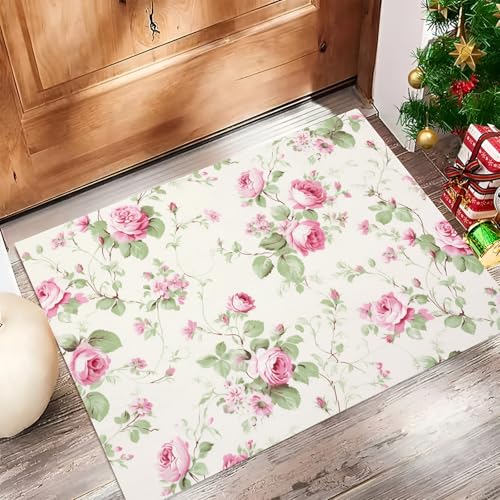 Tapis de sol lavable en machine paillasson antidérapant pour chien