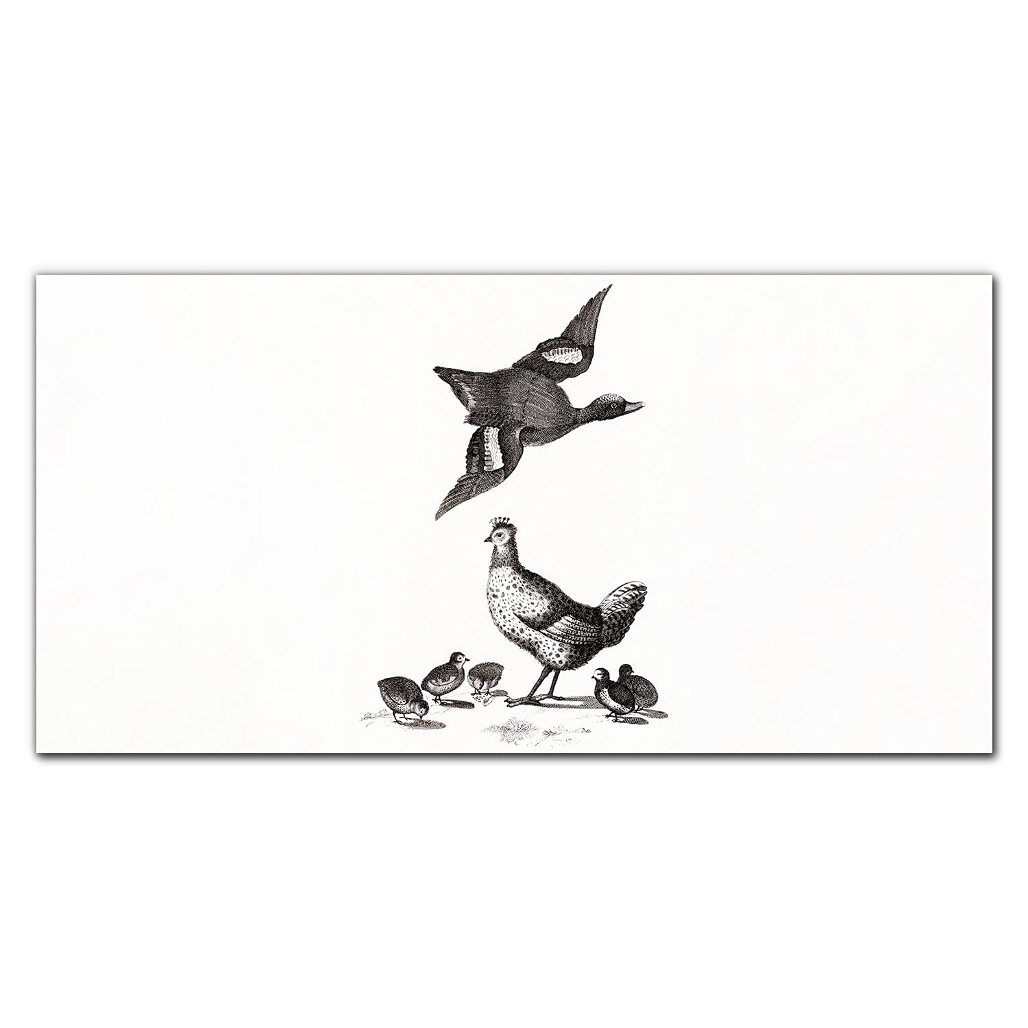 Crédence de cuisine adhésive oiseaux 120x60cm en verre trempé