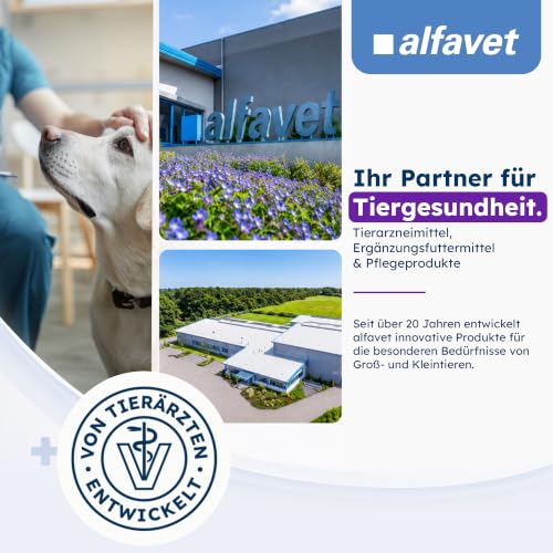 Alfavet ReConvales Power Paste - Ergänzungsfutter für Hund & Katze, 70 g