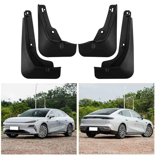Salpicaduras de vehículos: accesorios de protección resistente para Geely Galaxy Starlight 2025 4