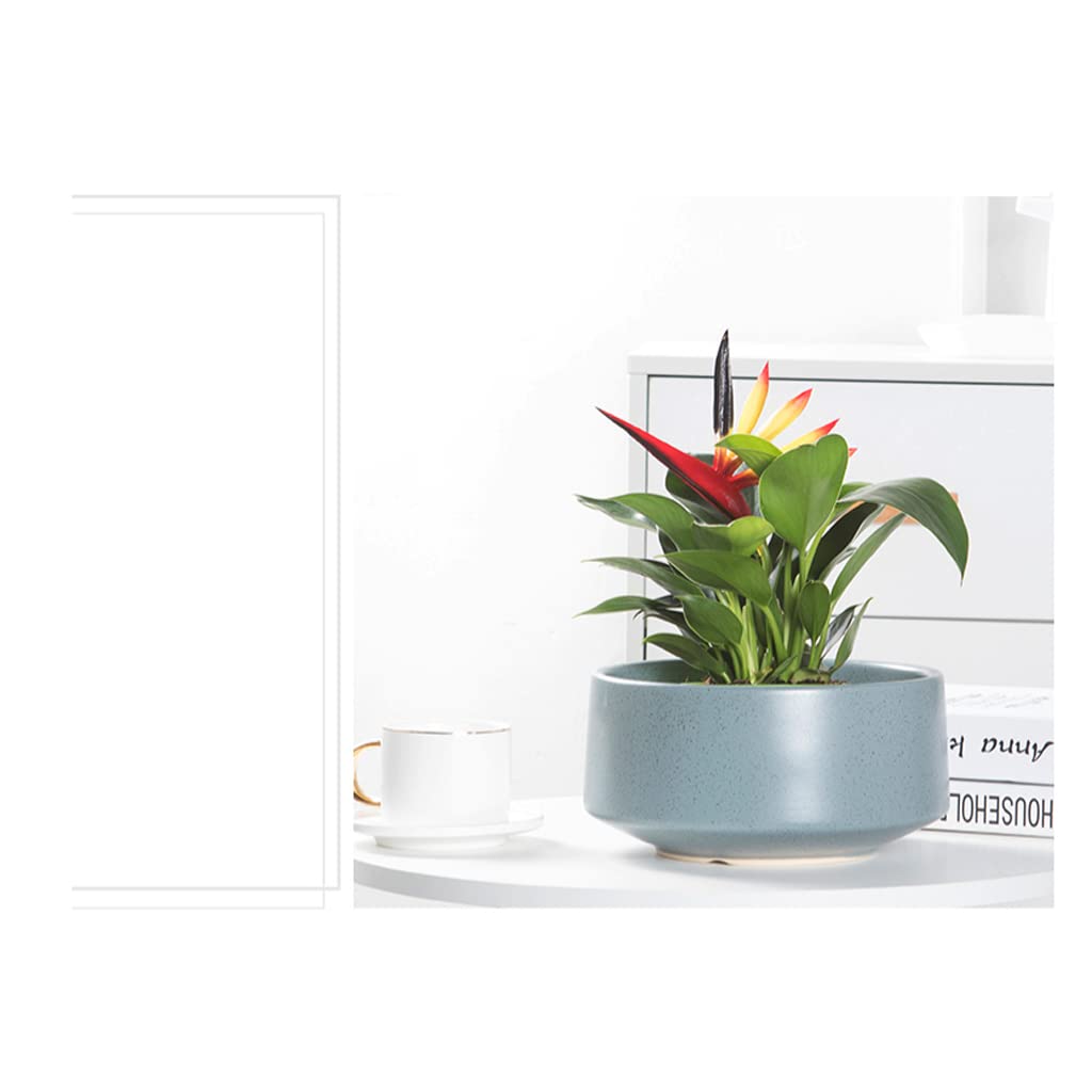 Vasi da Giardino Vaso di Fiori succulenti per la casa per la Decorazione Domestica, fioriere per vasi in Ceramica con Fori di drenaggio e piattini per Desktop